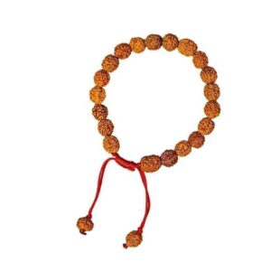 Original Certified 5 Mukhi Rudraksha Bracelet for Men and Women