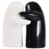 Cute Ghost Salt & Pepper Shaker Set – Black & White Ceramic Ghost Couple