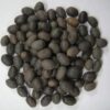 Kamal Gatta, Lotus Seed Seed