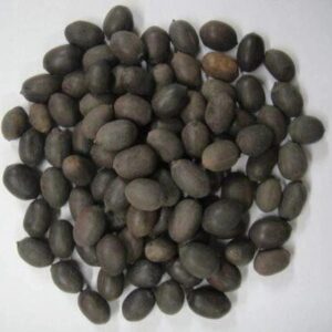 Kamal Gatta, Lotus Seed Seed